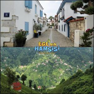 Ege'nin Hamsisi [ترجمة عربية]