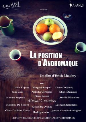 La position d'Andromaque [Version française]