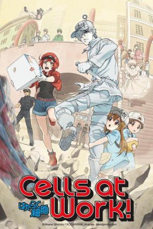 Cells at Work! [ترجمة عربية]