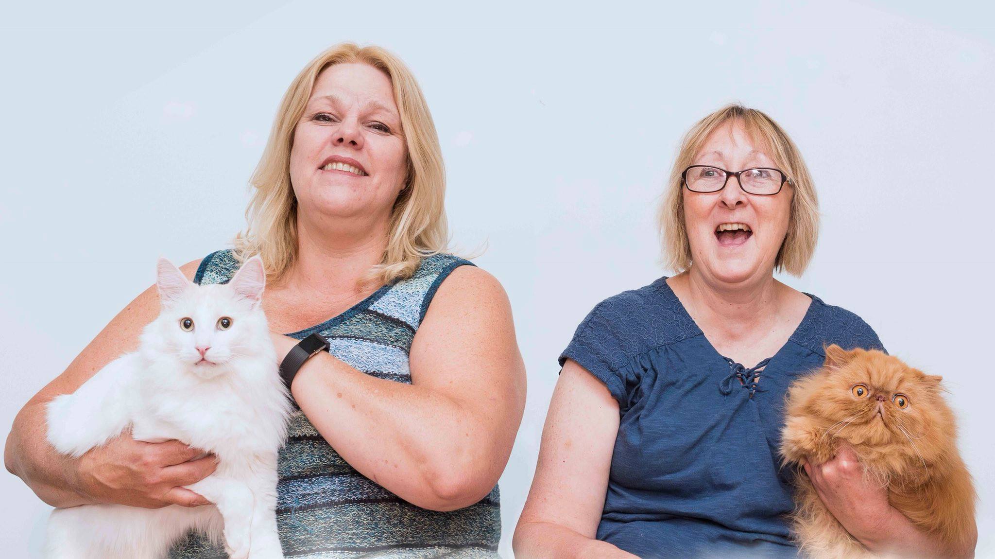 actor Kim Langille large photo