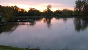The Ponds [Russian]