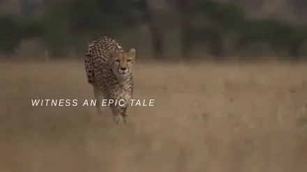 Trailer thumbnail
