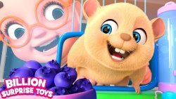 My new little pet- Animal songs for kids