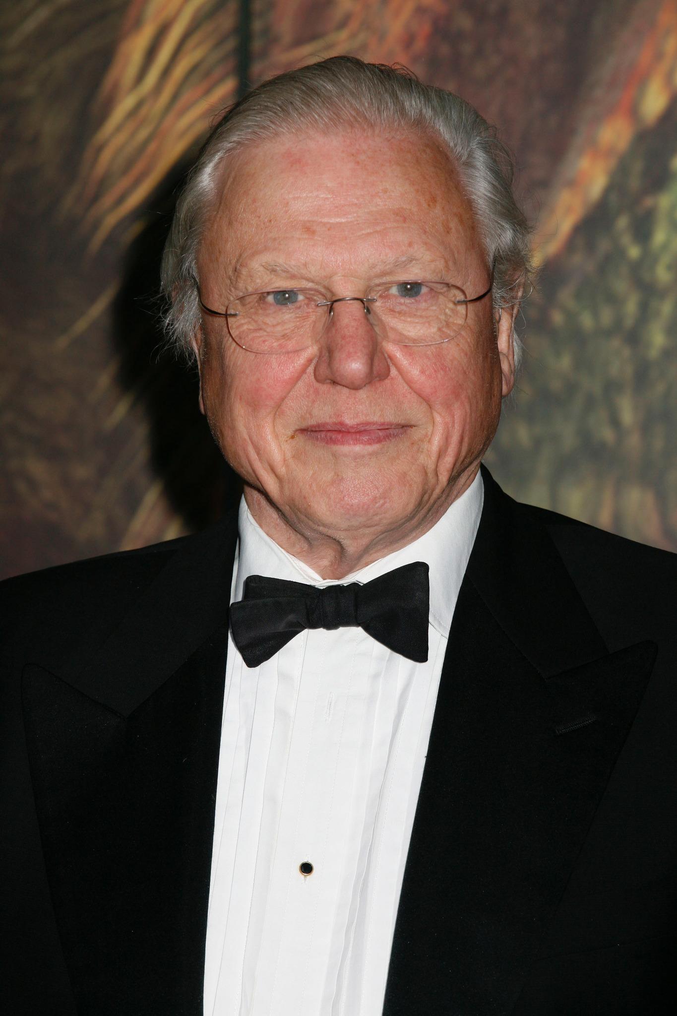 actor David Attenborough large photo