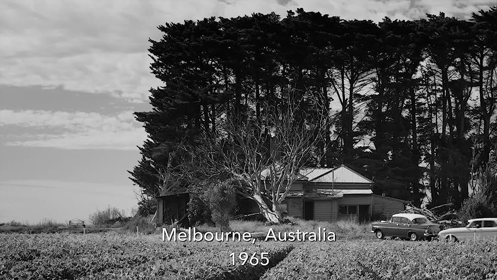 actor Daniela Farinacci large photo