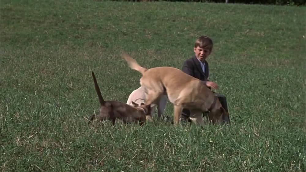 actor John Drainie large photo