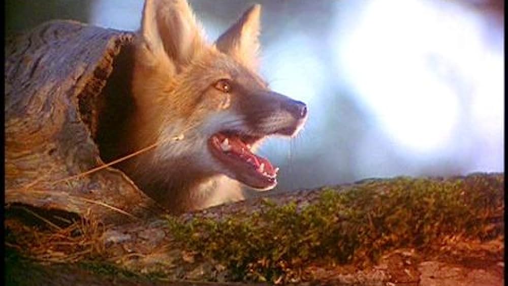 actor Justine Johnston large photo