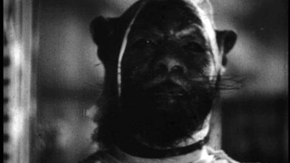 actor Paul Harber large photo