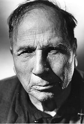 actor Tom Wilson large photo