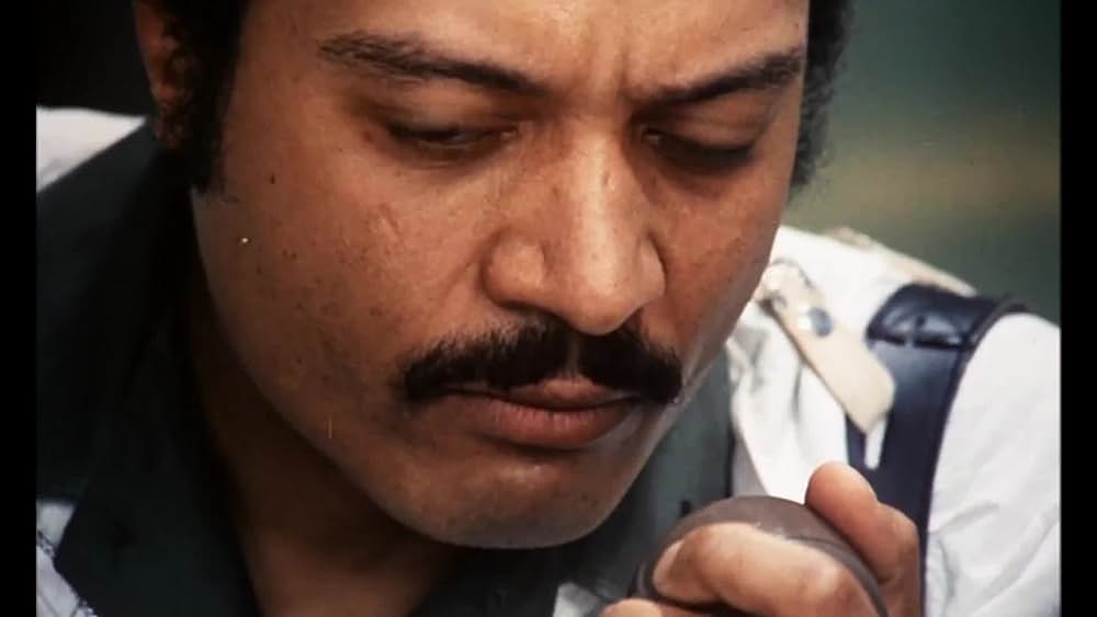 actor Harold Wayne Jones large photo