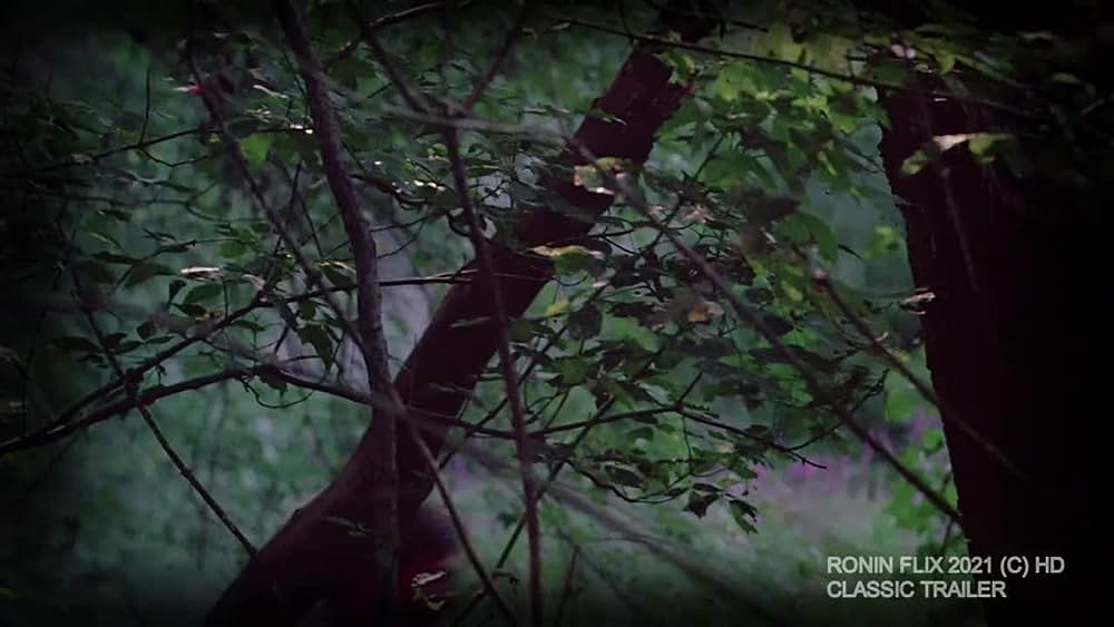 actor Anthony Nichols large photo