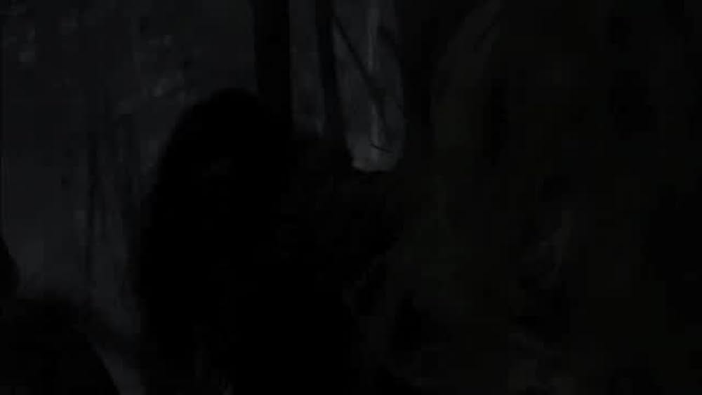 actor Bille Brown large photo