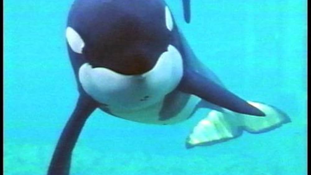 actor Hardy Jones large photo