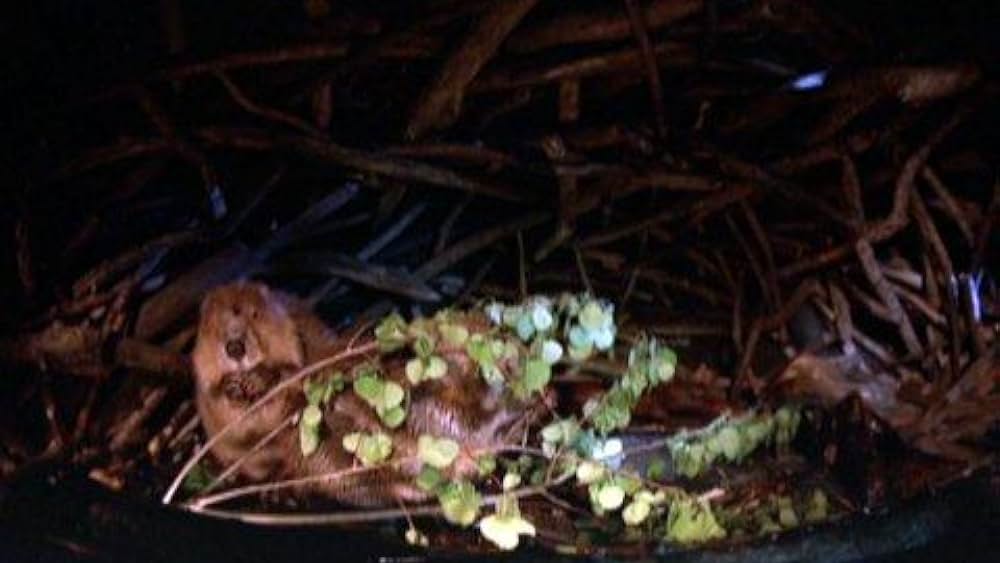 actor Earl Pennington large photo