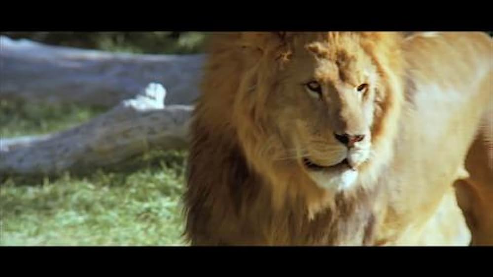 actor Rick Glassey large photo