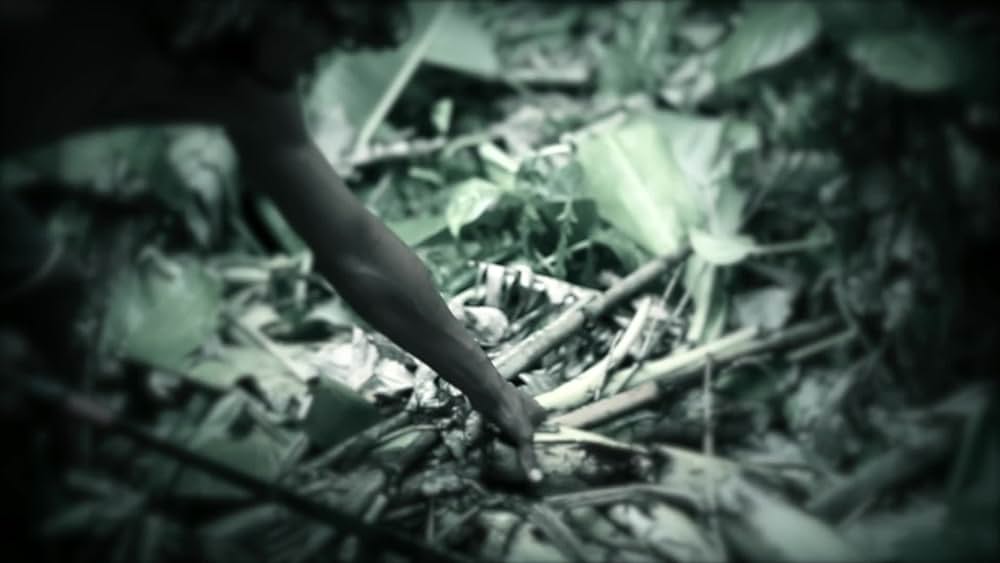 actor Tamayo Perry large photo