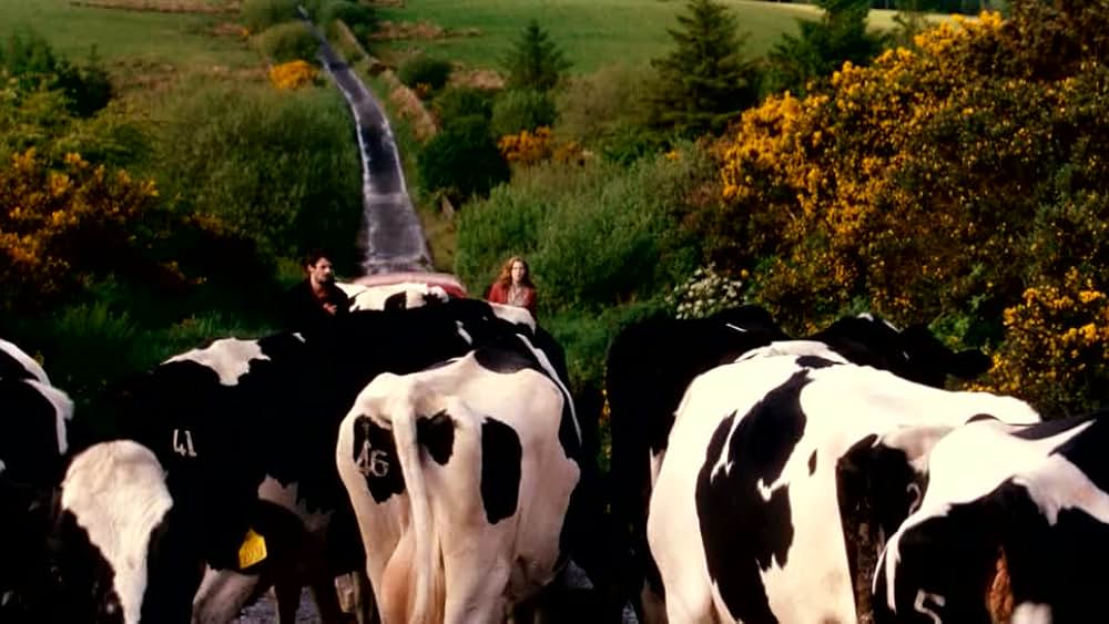 actor Noel O'Donovan large photo