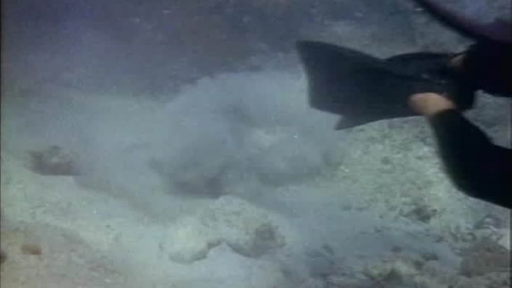 actor Tommy Norden large photo