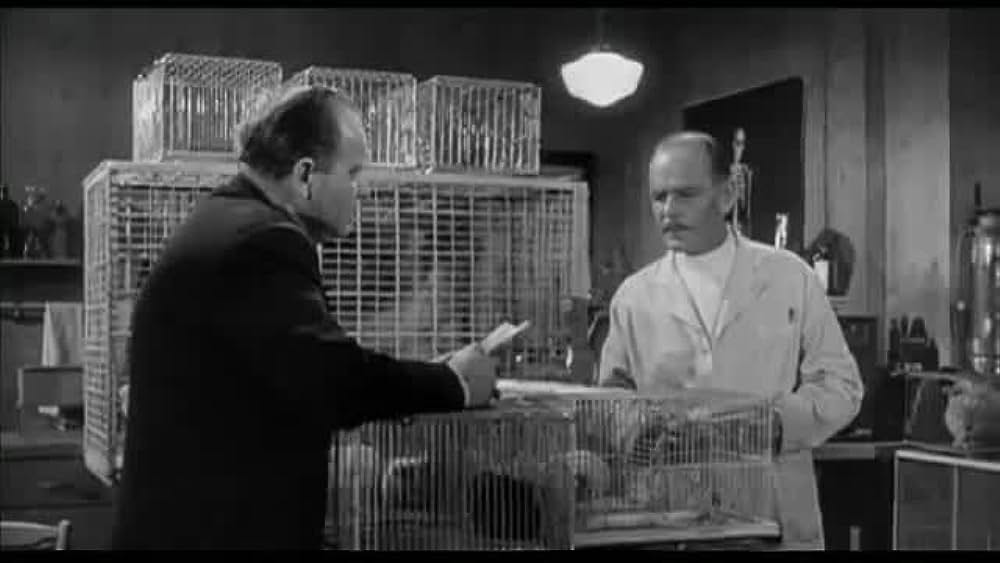 actor Eleanore Tanin large photo