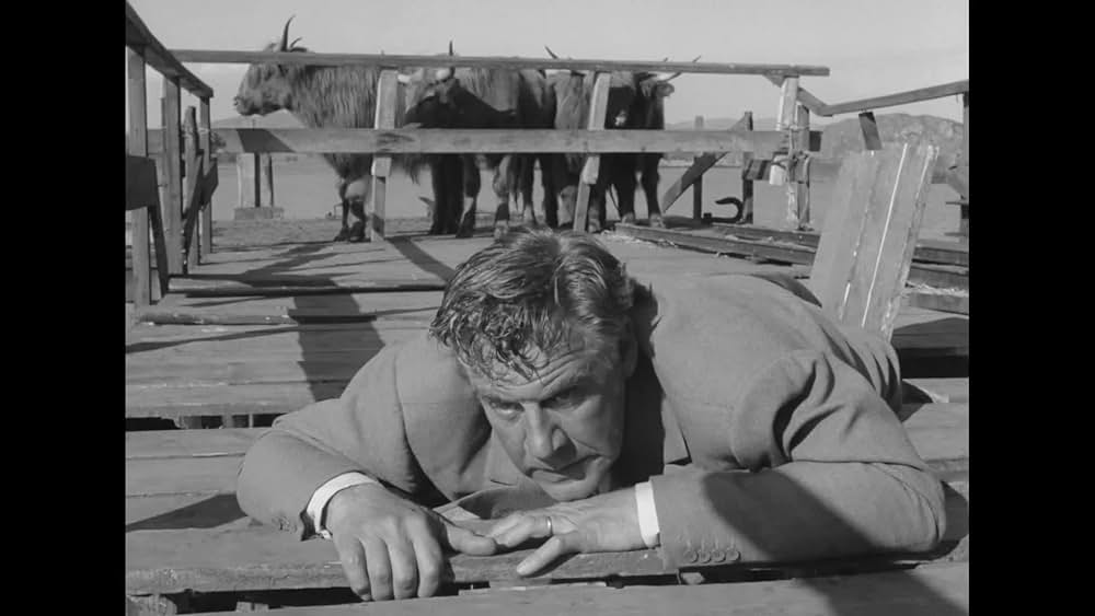 actor James Copeland large photo