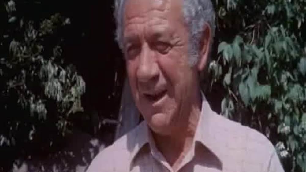 actor Sally Geeson large photo