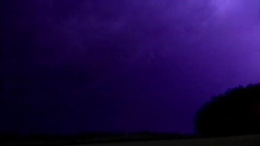 actor Dan Leis large photo