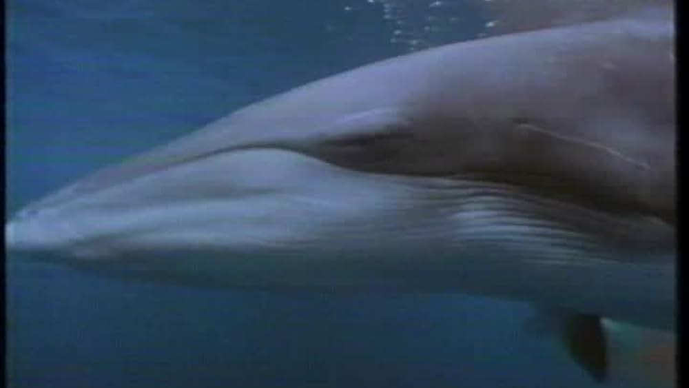 actor Sydney Walker large photo