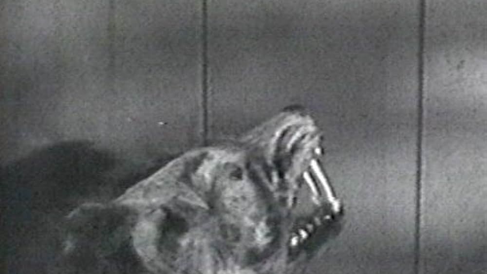 actor Gordon McLendon large photo