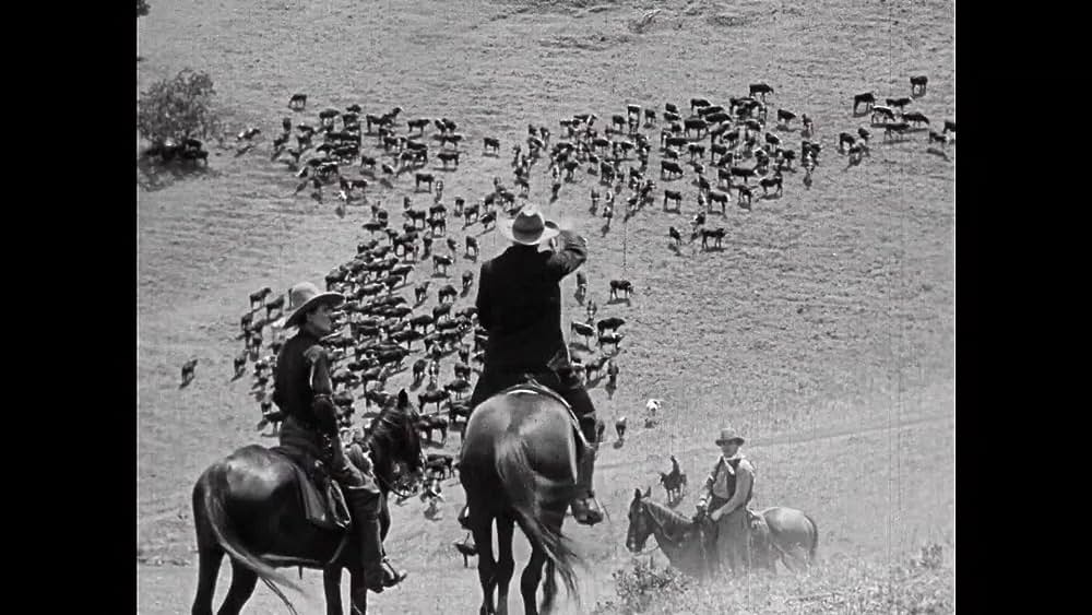 actor Molly Malone large photo