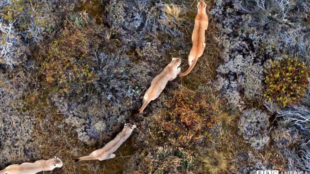 actor Peter Drost large photo