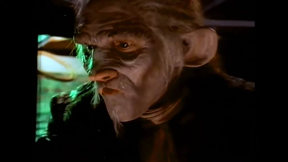 actor Paul Satterfield large photo