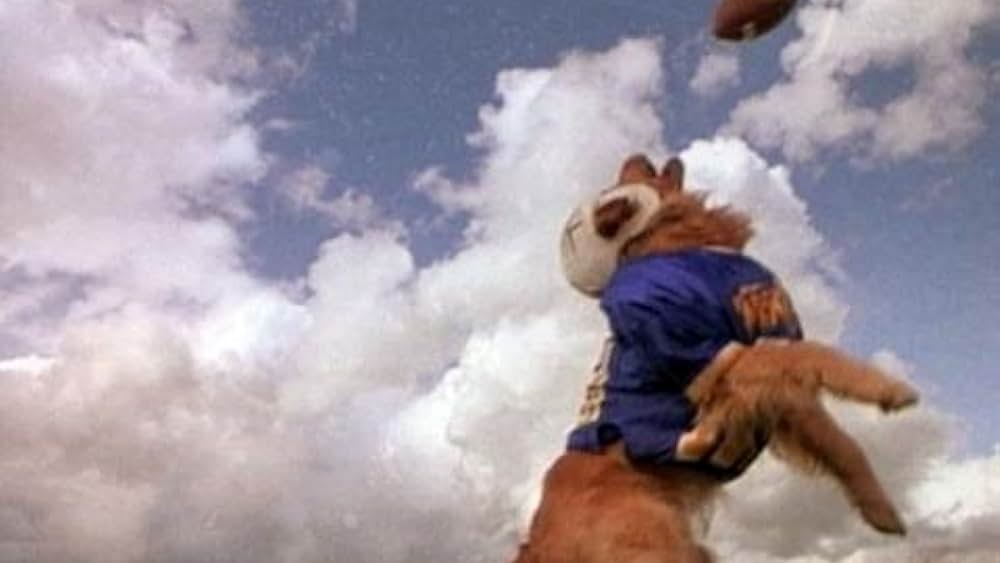 actor Brittany Paige Bouck large photo