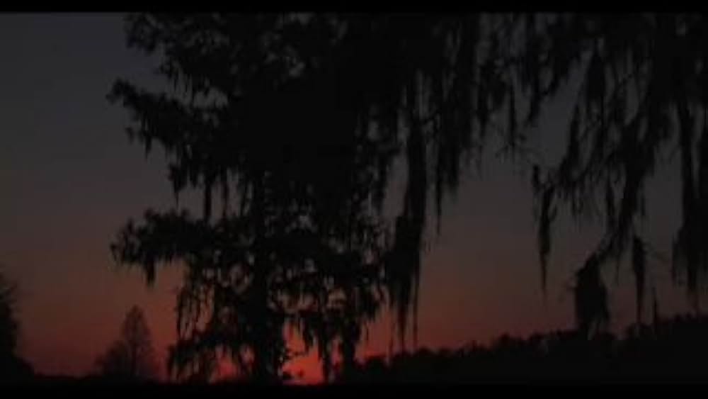 actor Tommy McLain large photo