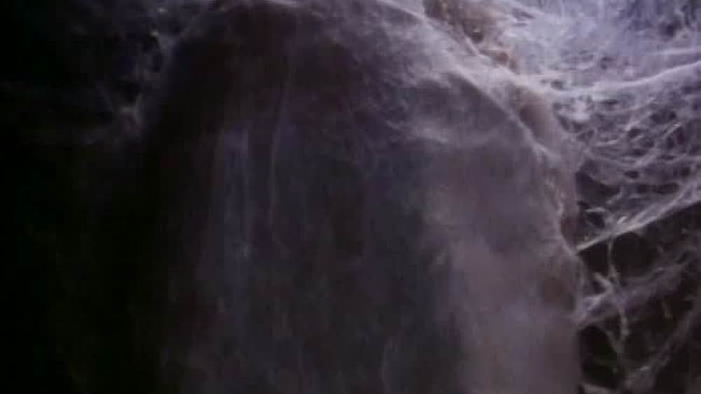 actor Erik Holland large photo