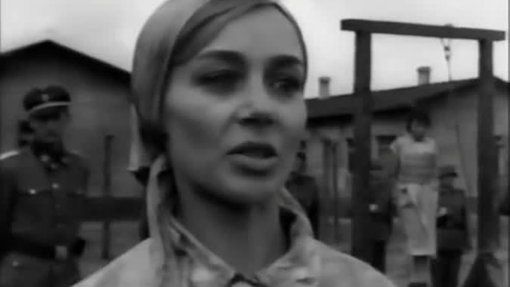 actor Didi Perego large photo