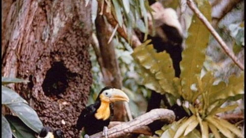 actor Winston Hibler large photo