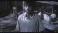 moviebox starr