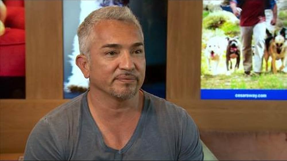 actor Jason Willinger large photo