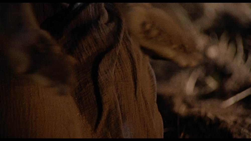 actor Adisa Anderson large photo