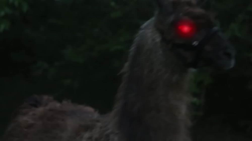 actor Louie The Llama large photo