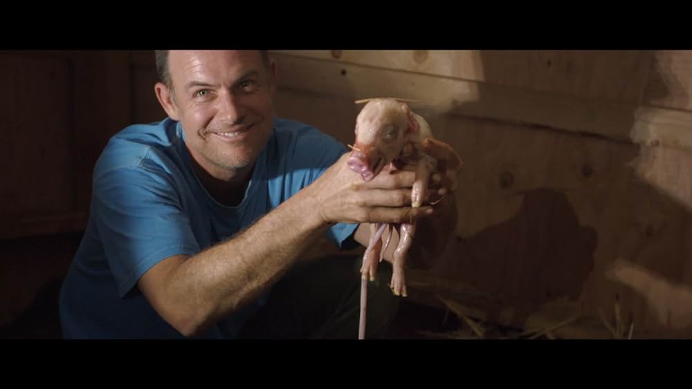 actor Matthew Pilachowski large photo