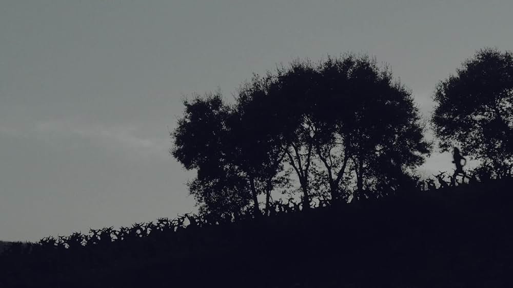 actor Gonzalo Cunill large photo