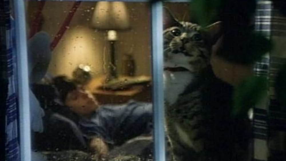 actor Mark Bromilow large photo