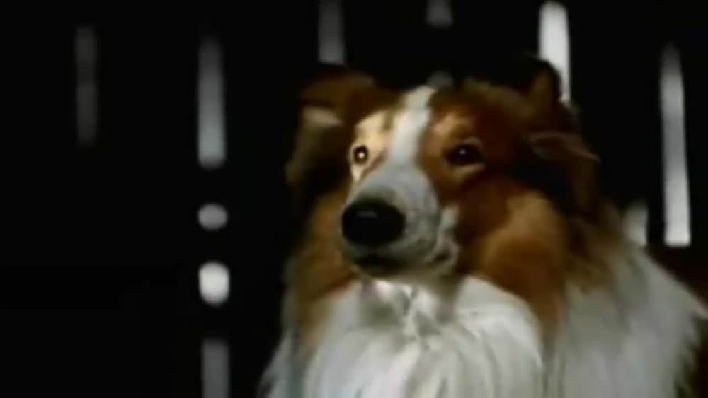 actor Brittany Boyd large photo