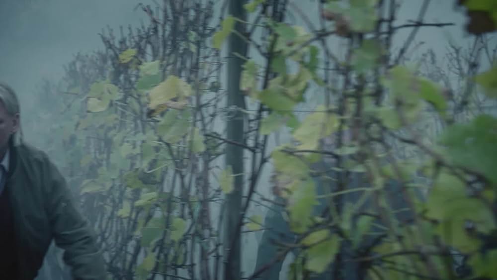 actor Arved Birnbaum large photo