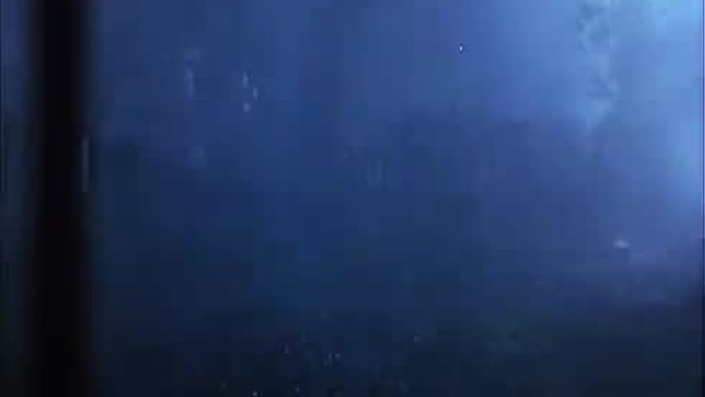 actor Kerry Noonan large photo