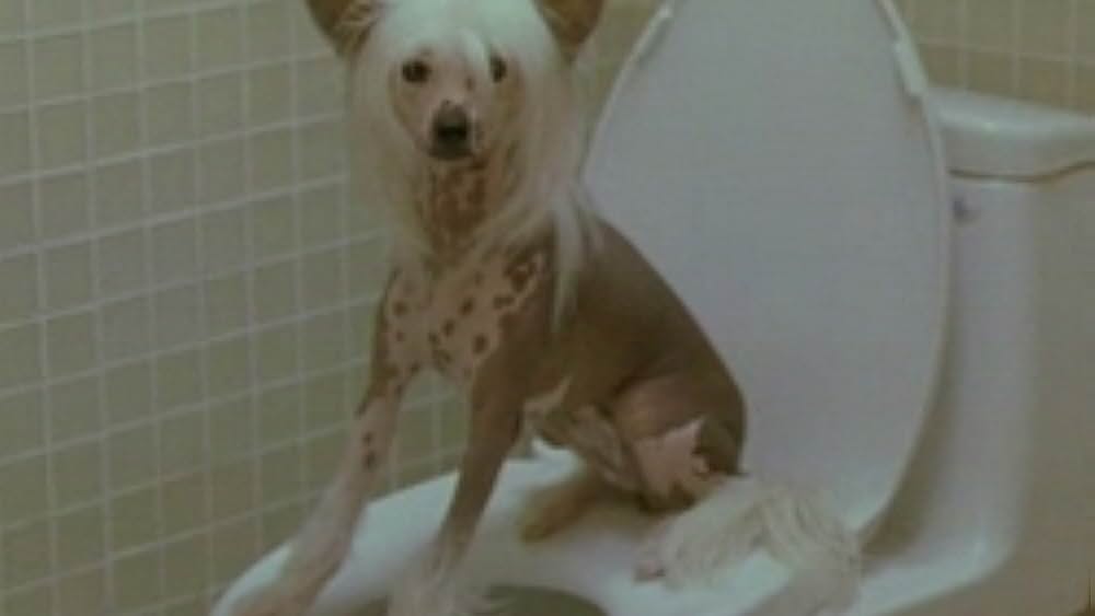 actor Mary Bond Davis large photo