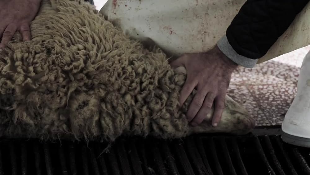 actor Aleksandar Seksan large photo