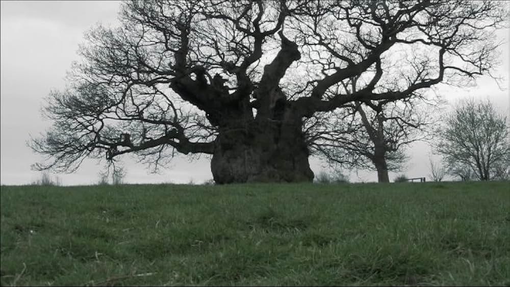 actor Sam Stockman large photo