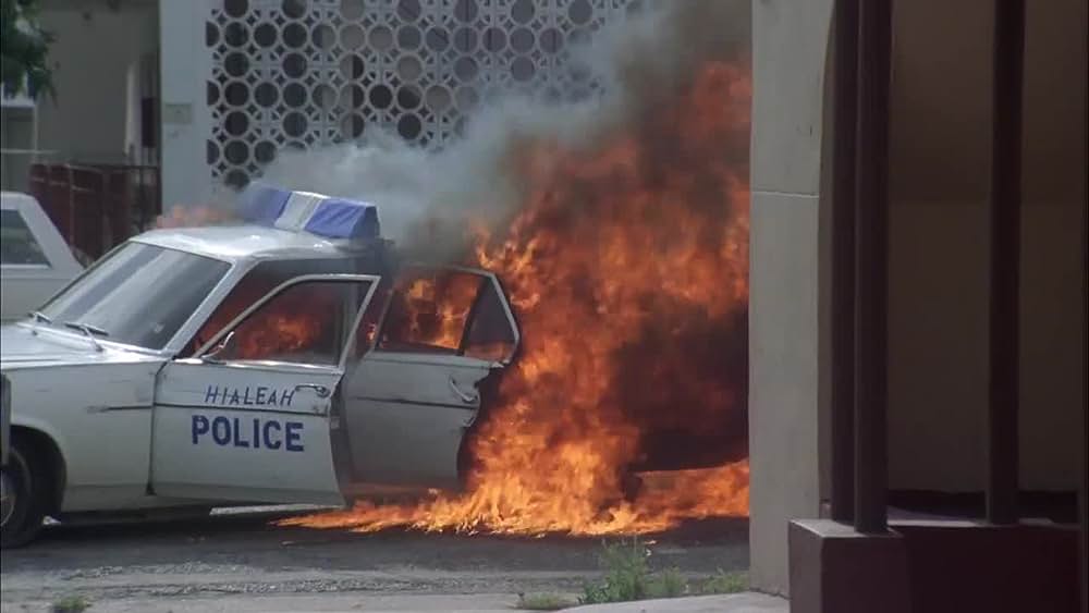 actor William 'Bo' Jim large photo